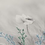 1138 9096 Tavla
